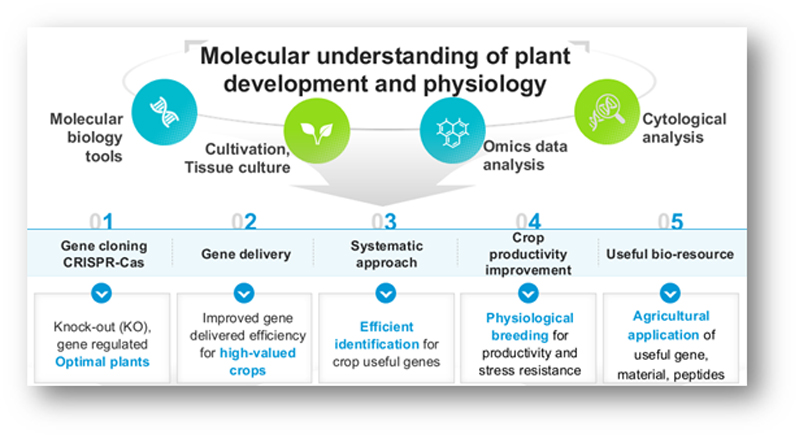 관심 연구분야1