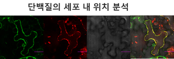 연구결과2